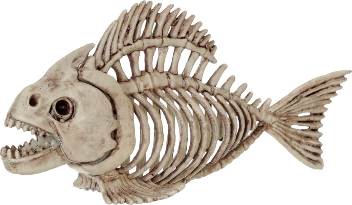 Скелет рыбы прикольный рисунок