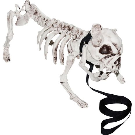 Бутафорский скелет бульдога