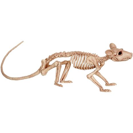 Бутафорский скелет крысы