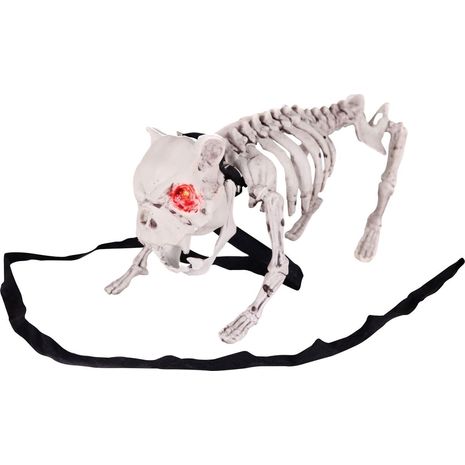 Бутафорский скелет Собаки
