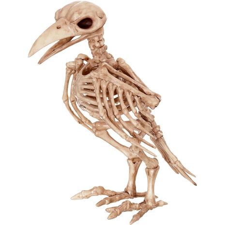 Бутафорский скелет ворона