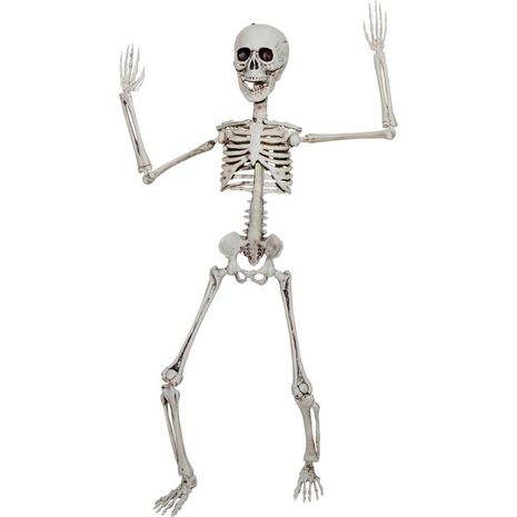Бутафорский стоячий скелет
