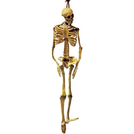 Бутафорский скелет латексный 170 см