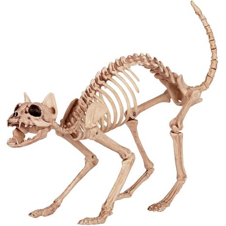 Бутафорский скелет Кота