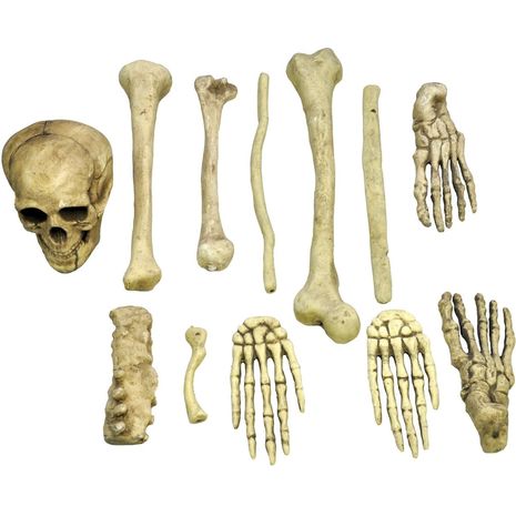 Расчлененный бутафорский скелет в мешке-2
