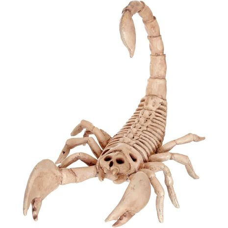 Бутафорский скелет Скорпиона