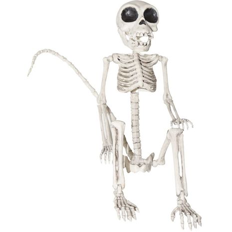 Декорация на Хэллоиун - Скелет обезьянки