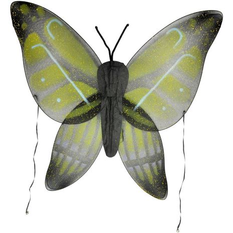 Крылья бабочки желто-зелёные