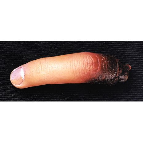 Оторванный бутафорский палец из латекса
