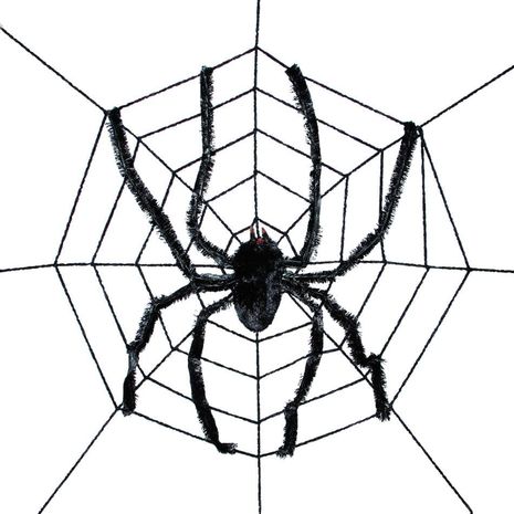 Паутина диаметром 2,5 м с гиганским пауком