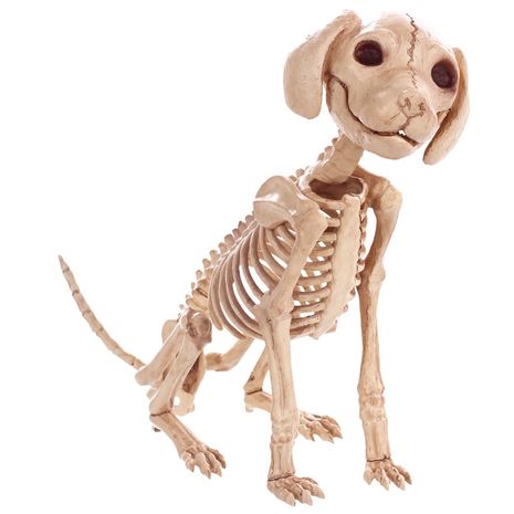 Скелет Сидячий щенок