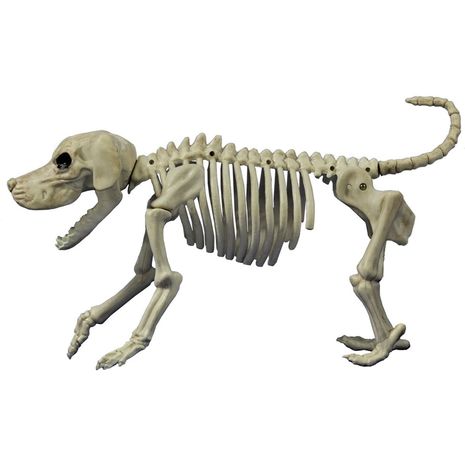 Бутафория скелет Собаки