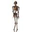 Бутафорский скелет зомби с огнями 180 см.